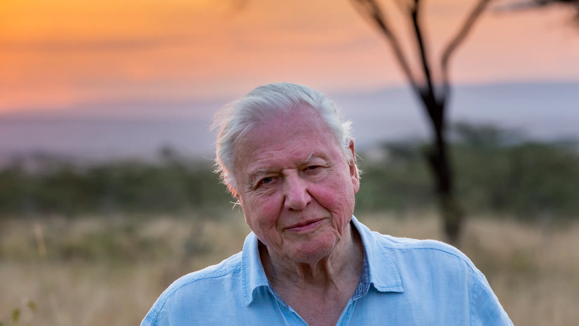 David Attenborough filming nature