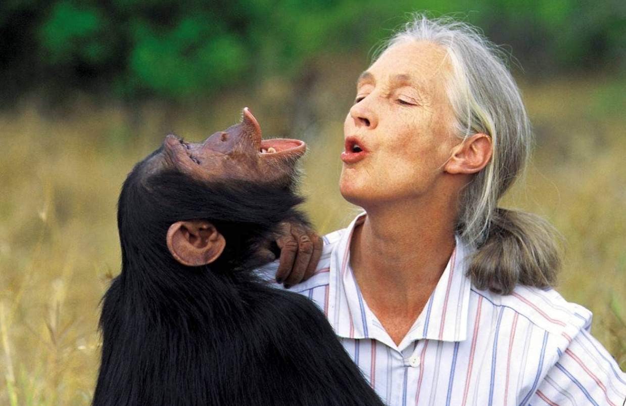 Jane Goodall